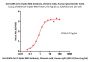 Anti-SARS-CoV-2 Spike RBD Antibody, Chimeric mAb, Human IgG1 (AS113) (Omicron Specific)