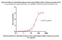 HRP-Anti-SARS-CoV-2 Spike RBD Antibody, Mouse IgG1 (9A6A11) (XBB.1.5/Omicron Specific)