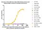 Anti-SARS-CoV-2 Spike RBD Antibody, Mouse IgG1 (9A6A11) (XBB.1.5/Omicron Specific) (MALS verified)