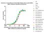 Anti-SARS-CoV-2 Spike RBD Antibody, Mouse IgG1 (5F8E1) (XBB.1.5/Omicron Specific)