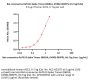 Bat coronavirus RaTG13 Spike Trimer Protein (R681A, KV982-983PP), His Tag