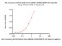 Bat coronavirus RaTG13 Spike Trimer Protein (R681A, KV982-983PP), His Tag