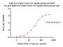 SARS-CoV-2 Spike Trimer Protein, His Tag (BA.3/Omicron) (MALS verified)