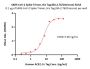 SARS-CoV-2 Spike Trimer Protein, His Tag (BA.2.76/Omicron) (MALS verified)