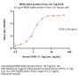 MERS Spike protein trimer (R748A, R751A, V1060P, L1061P), His Tag (MALS verified)