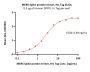 MERS Spike protein trimer (R748A, R751A, V1060P, L1061P), His Tag (MALS verified)