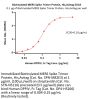 Biotinylated MERS Spike Trimer Protein, His,Avitag™ (MALS verified)