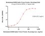 Biotinylated MERS Spike Trimer Protein, His,Avitag™ (MALS verified)