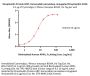 Streptavidin Protein-HRP, Horseradish peroxidase conjugated Streptavidin