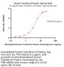 Human Transferrin R / CD71 Protein, Tag Free (MALS verified)