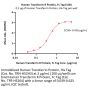 Human Transferrin R / CD71 Protein, Fc Tag (MALS verified)