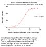 Mouse Transferrin R Protein, Fc Tag (MALS verified)