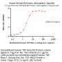 Human TGF-beta RII / TGFBR2 Protein, Llama IgG2b Fc Tag, low Endotoxin (MALS verified)