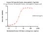 Human TGF-beta RII / TGFBR2 Protein, Llama IgG2b Fc Tag, low Endotoxin (MALS verified)