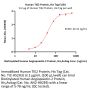 Human TIE2 Protein, His Tag (MALS verified)
