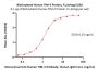 Biotinylated Human TIM-3 / HAVCR2 Protein, Fc,Avitag™ (MALS verified)