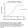 Human TL1A / TNFSF15 Protein, Fc Tag, active trimer (MALS verified)