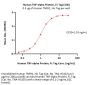 Human TNF-alpha Protein, Fc Tag (MALS verified)
