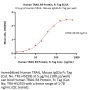 Human TRAIL R4 / TNFRSF10D Protein, Fc Tag (MALS verified)