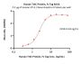 Human TrkC / NTRK3 Protein, Fc Tag (MALS verified)