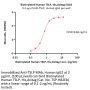 Biotinylated Human TSLP Protein, His,Avitag™ (MALS verified)