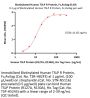 Biotinylated Human TSLP R Protein, Fc,Avitag™