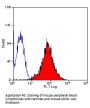 Itgb1 Antibody (OASA00082)