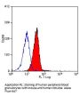 TNFRSF1A Antibody (OASA01171)