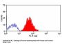 BSG Antibody - PE Conjugated