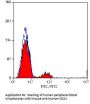 CR2 Antibody - FITC Conjugated