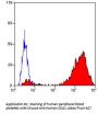 ITGA2B Antibody (OASA01984)