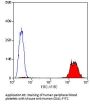 ITGA2B Antibody (OASA01984)