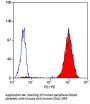 ITGA2B Antibody (OASA01984)