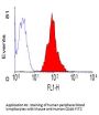 CD46 Antibody - PE Conjugated (OASA02109)