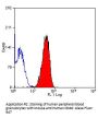 CD46 Antibody - PE Conjugated (OASA02109)