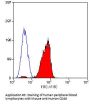 CD46 Antibody - PE Conjugated (OASA02109)