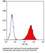 CD46 Antibody - PE Conjugated (OASA02109)