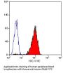 CD48 Antibody - PE Conjugated (OASA02123)
