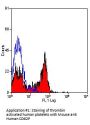 SELP Antibody - PE Conjugated (OASA02345)