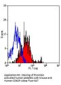 SELP Antibody - PE Conjugated (OASA02345)
