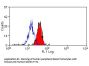 CLEC7A Antibody (OASA02723)