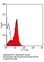 Notch1 Antibody (OASA03554)