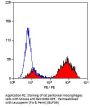 Cd68 Antibody - PE Conjugated (OASA04077)