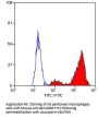 Cd68 Antibody - PE Conjugated (OASA04077)