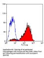 Cd68 Antibody - PE Conjugated (OASA04077)