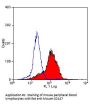 Bsg Antibody