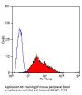 Bsg Antibody