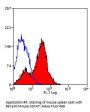 Bsg Antibody