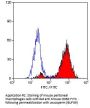 Cd68 Antibody - PE Conjugated