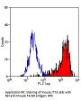 Emr1 Antibody - APC Conjugated (OASA05545)